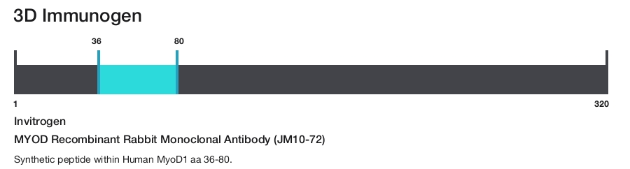 MYOD Recombinant Rabbit Monoclonal Antibody (JM10-72)