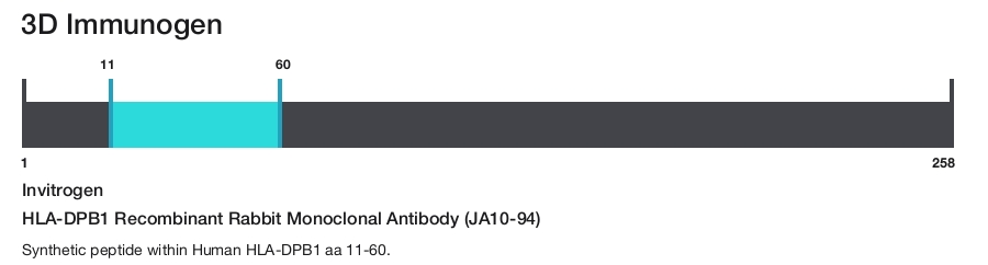 HLA-DPB1 Recombinant Rabbit Monoclonal Antibody (JA10-94)