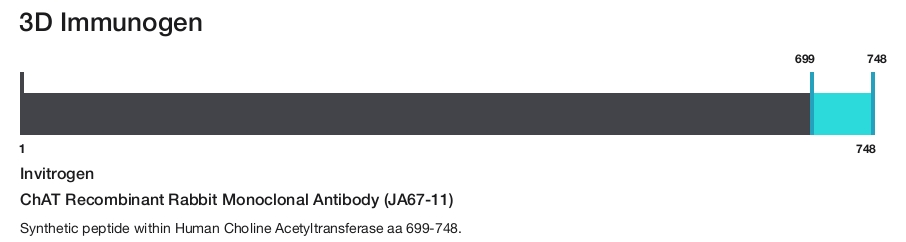 ChAT Recombinant Rabbit Monoclonal Antibody (JA67-11)