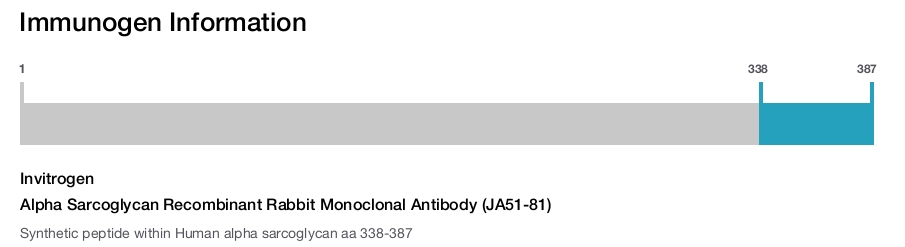 Alpha Sarcoglycan Recombinant Rabbit Monoclonal Antibody (JA51-81)