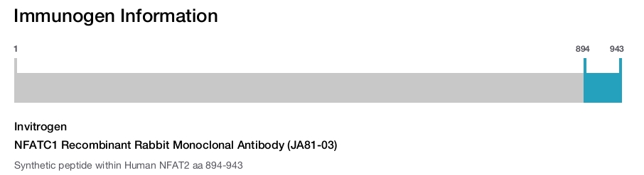 NFATC1 Recombinant Rabbit Monoclonal Antibody (JA81-03)
