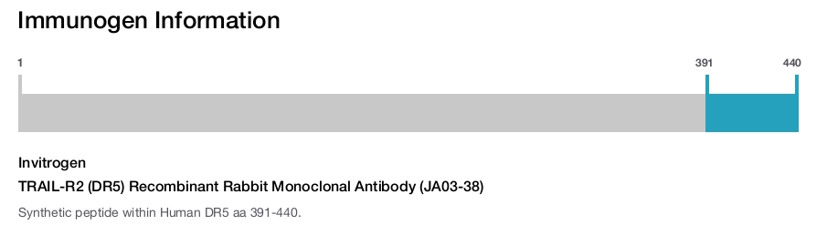 TRAIL-R2 (DR5) Recombinant Rabbit Monoclonal Antibody (JA03-38)