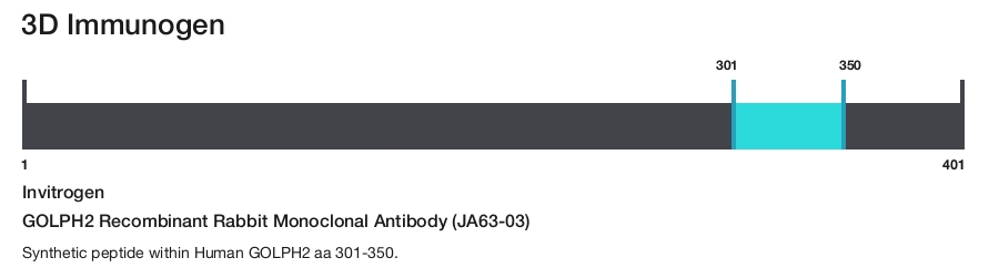 GOLPH2 Recombinant Rabbit Monoclonal Antibody (JA63-03)
