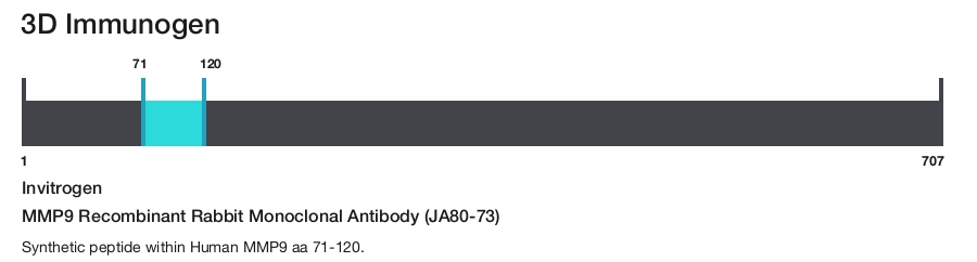 MMP9 Recombinant Rabbit Monoclonal Antibody (JA80-73)