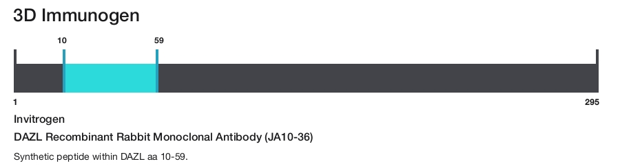 DAZL Recombinant Rabbit Monoclonal Antibody (JA10-36)