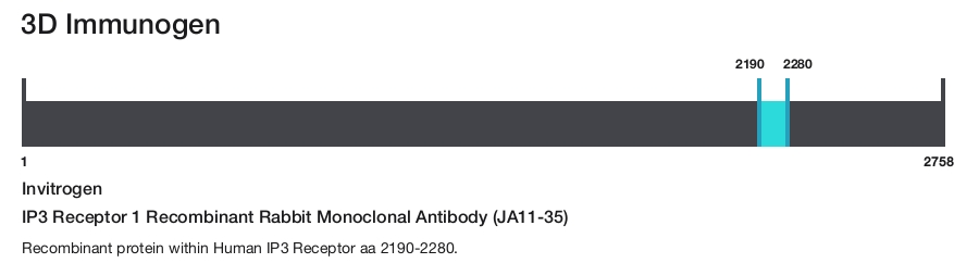 IP3 Receptor 1 Recombinant Rabbit Monoclonal Antibody (JA11-35)