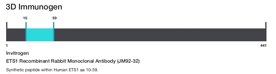 ETS1 Recombinant Rabbit Monoclonal Antibody (JM92-32)