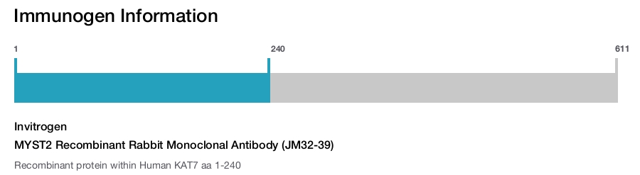 MYST2 Recombinant Rabbit Monoclonal Antibody (JM32-39)