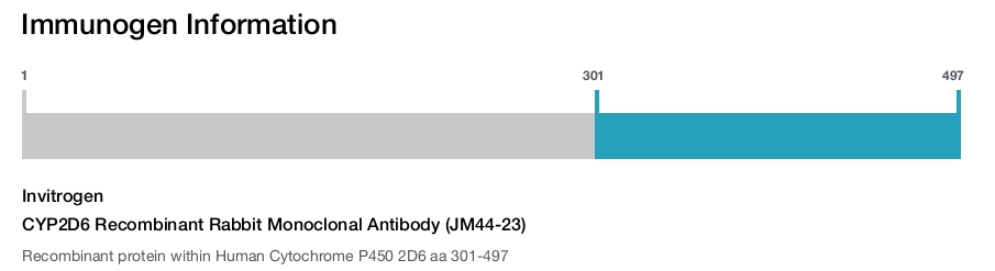 CYP2D6 Recombinant Rabbit Monoclonal Antibody (JM44-23)