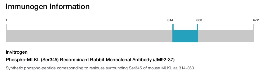 Phospho-MLKL (Ser345) Recombinant Rabbit Monoclonal Antibody (JM92-37)
