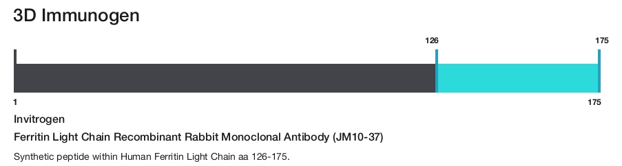 Ferritin Light Chain Recombinant Rabbit Monoclonal Antibody (JM10-37)