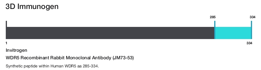 WDR5 Recombinant Rabbit Monoclonal Antibody (JM73-53)