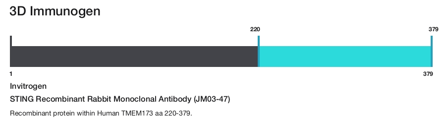 STING Recombinant Rabbit Monoclonal Antibody (JM03-47)