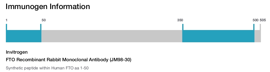 FTO Recombinant Rabbit Monoclonal Antibody (JM98-30)