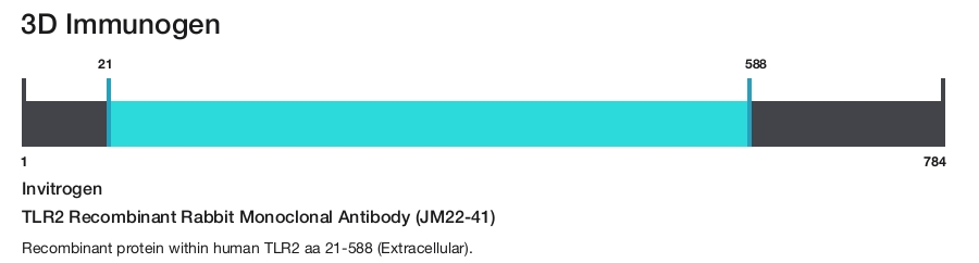 TLR2 Recombinant Rabbit Monoclonal Antibody (JM22-41)