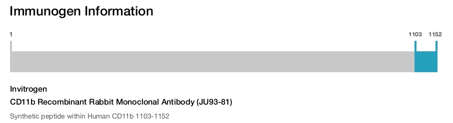 CD11b Recombinant Rabbit Monoclonal Antibody (JU93-81)