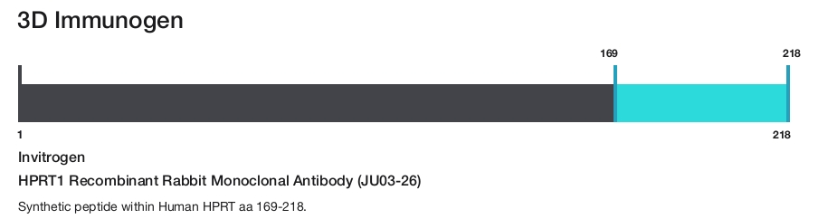 HPRT1 Recombinant Rabbit Monoclonal Antibody (JU03-26)