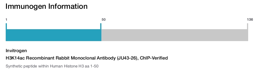 H3K14ac Recombinant Rabbit Monoclonal Antibody (JU43-26), ChIP-Verified