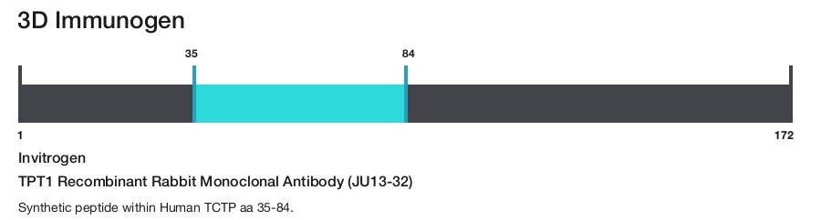 TPT1 Recombinant Rabbit Monoclonal Antibody (JU13-32)