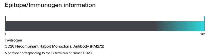 CD20 Recombinant Rabbit Monoclonal Antibody (RM272)