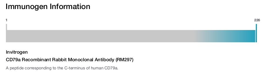 CD79a Recombinant Rabbit Monoclonal Antibody (RM297)