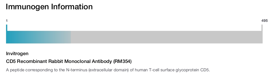 CD5 Recombinant Rabbit Monoclonal Antibody (RM354)