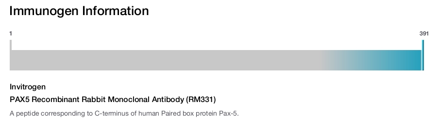 PAX5 Recombinant Rabbit Monoclonal Antibody (RM331)
