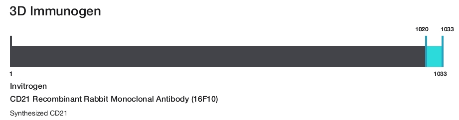 CD21 Recombinant Rabbit Monoclonal Antibody (16F10)