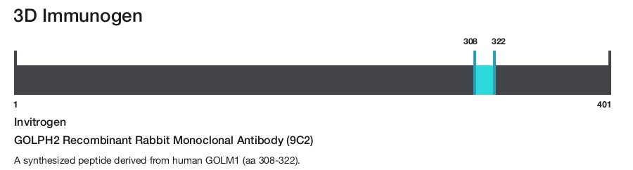 GOLPH2 Recombinant Rabbit Monoclonal Antibody (9C2)