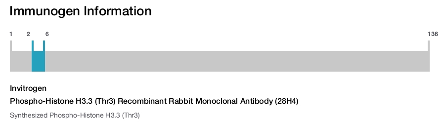 Phospho-Histone H3.3 (Thr3) Recombinant Rabbit Monoclonal Antibody (28H4)