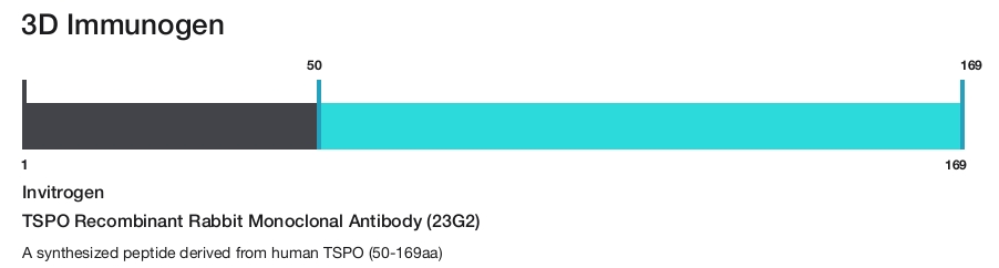 TSPO Recombinant Rabbit Monoclonal Antibody (23G2)