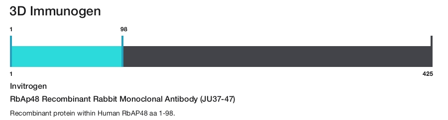 RbAp48 Recombinant Rabbit Monoclonal Antibody (JU37-47)