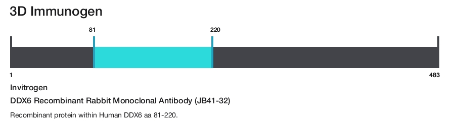DDX6 Recombinant Rabbit Monoclonal Antibody (JB41-32)