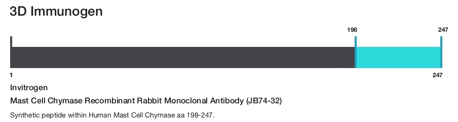 Mast Cell Chymase Recombinant Rabbit Monoclonal Antibody (JB74-32)