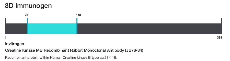 Creatine Kinase MB Recombinant Rabbit Monoclonal Antibody (JB78-34)