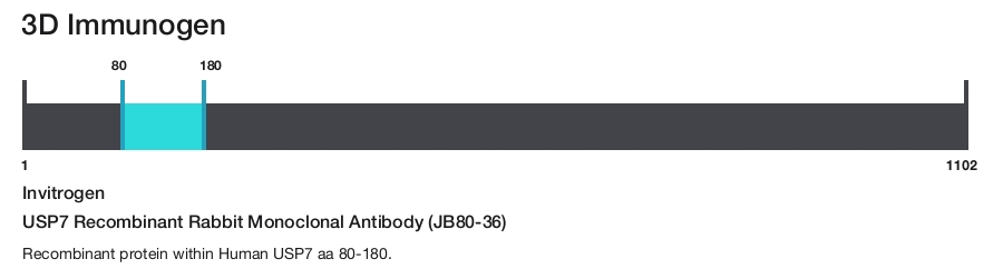USP7 Recombinant Rabbit Monoclonal Antibody (JB80-36)