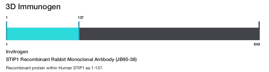 STIP1 Recombinant Rabbit Monoclonal Antibody (JB95-38)
