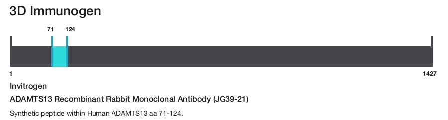 ADAMTS13 Recombinant Rabbit Monoclonal Antibody (JG39-21)