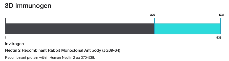 Nectin 2 Recombinant Rabbit Monoclonal Antibody (JG39-64)