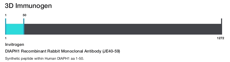 DIAPH1 Recombinant Rabbit Monoclonal Antibody (JE40-59)