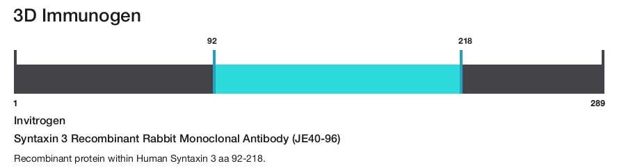 Syntaxin 3 Recombinant Rabbit Monoclonal Antibody (JE40-96)