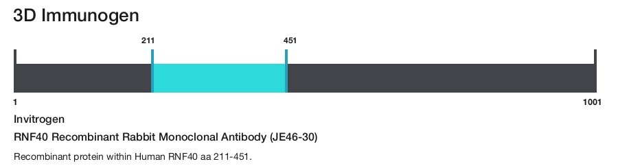 RNF40 Recombinant Rabbit Monoclonal Antibody (JE46-30)