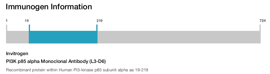 PI3K p85 alpha Monoclonal Antibody (L3-D6)