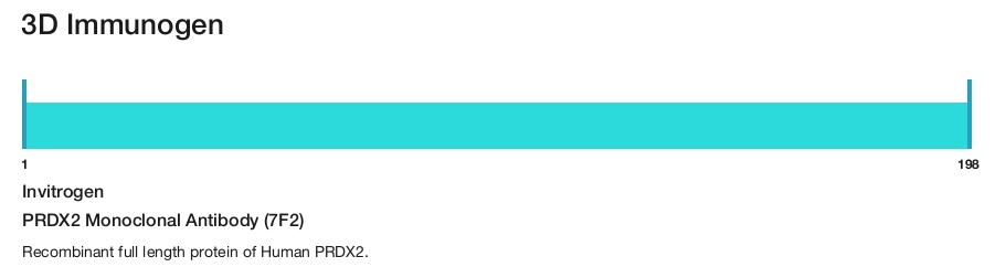 PRDX2 Monoclonal Antibody (7F2)