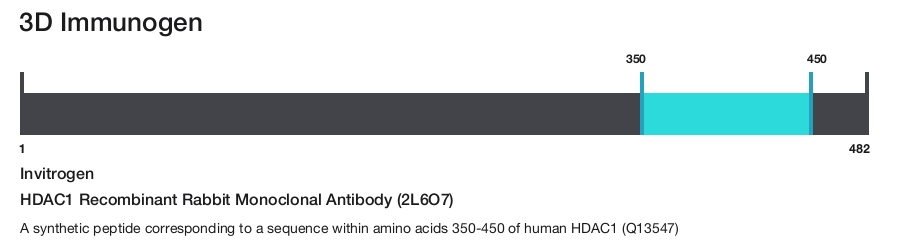 HDAC1 Recombinant Rabbit Monoclonal Antibody (2L6O7)