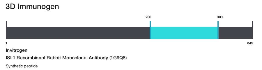 ISL1 Recombinant Rabbit Monoclonal Antibody (1G9Q8)