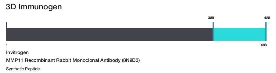 MMP11 Recombinant Rabbit Monoclonal Antibody (8N9D3)