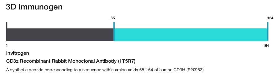 CD3z Recombinant Rabbit Monoclonal Antibody (1T5R7)