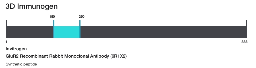 GluR2 Recombinant Rabbit Monoclonal Antibody (9R1X2)