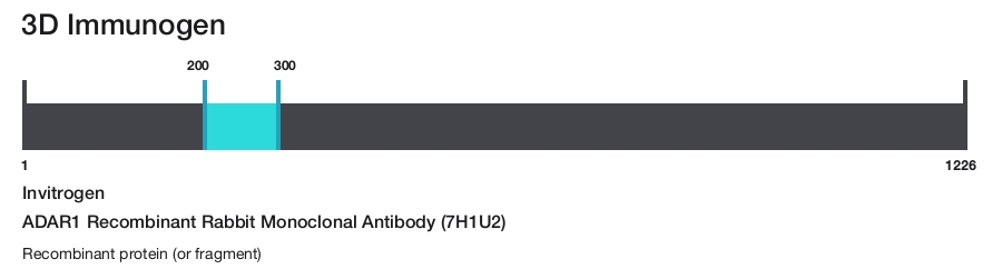 ADAR1 Recombinant Rabbit Monoclonal Antibody (7H1U2)